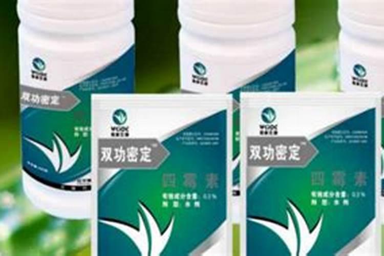 韭菜黄叶干尖如何防治？