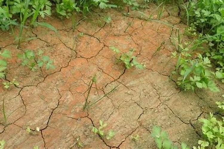 寒潮的有利影响和不利影响 寒潮的好处和坏处