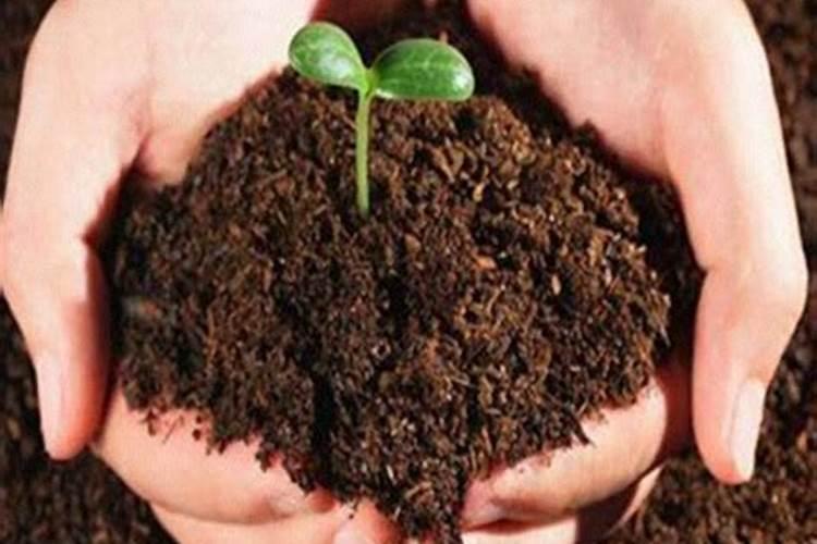 大棚如何防霜冻