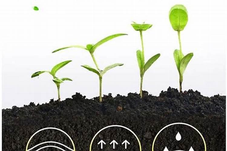 小麦水稻黄腐酸能不能适宜上大豆？