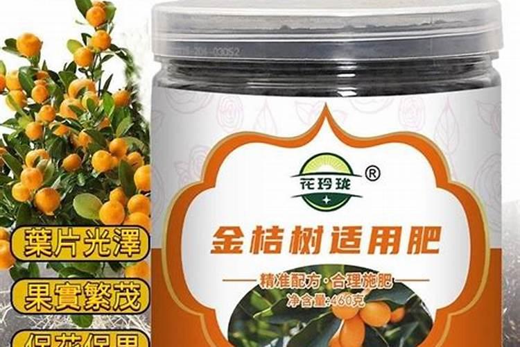 金桔树用什么肥料最好