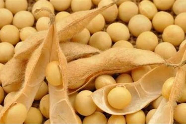 黄豆水是氮肥还是磷肥