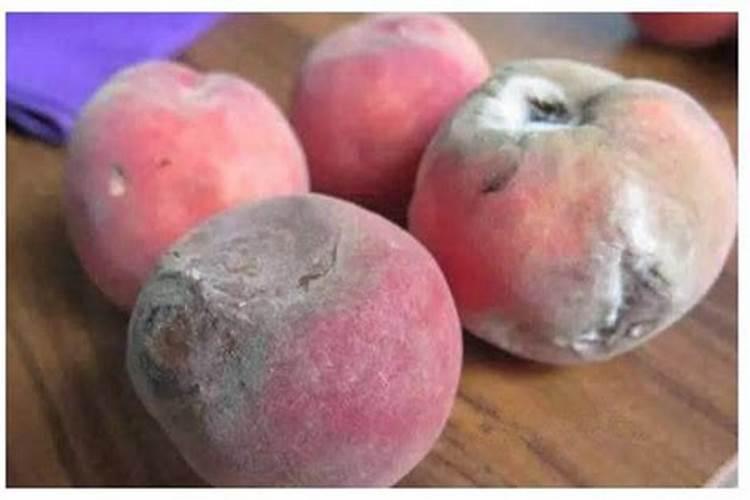 烂桃子做肥料养花可以吗