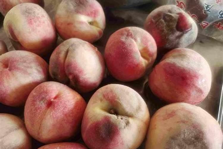 烂桃子可以做肥料吗 发酵后做肥料方法