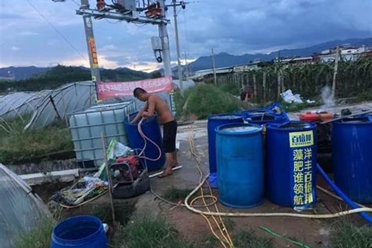 葡萄为什么果实长不大 怎样能让葡萄果粒长的大