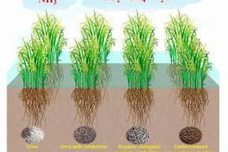 化肥会挥发吗？