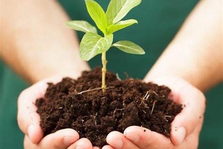 矿源酸钾加复合微生物菌剂的作用