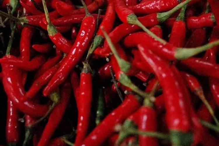 辣椒挂果后肥料使的多行吗