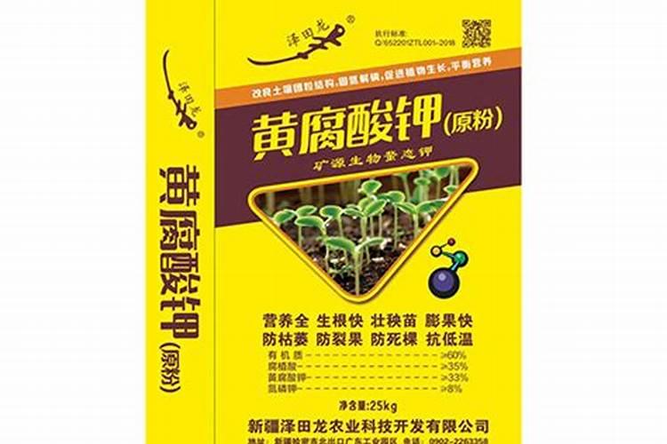 夏季瓜果类可以用矿源黄腐酸钾吗
