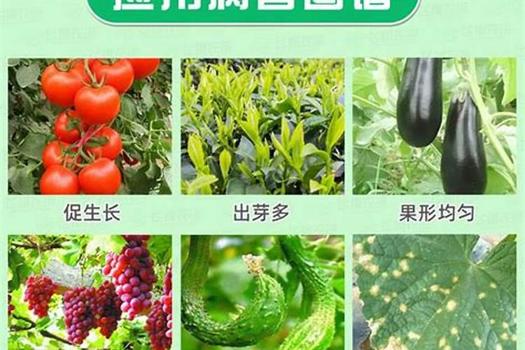 三十烷醇和芸苔素区别