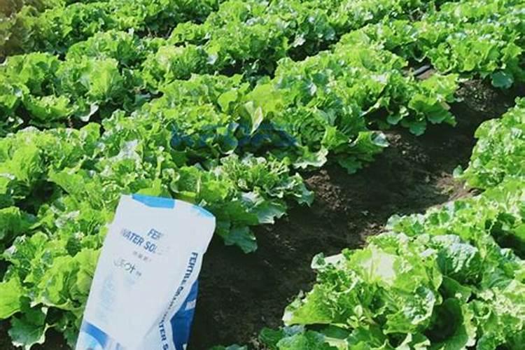 益施秋实中量元素水溶肥用量是多少