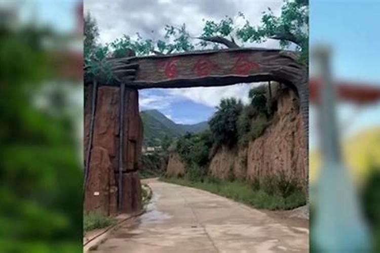 果树专用肥有哪几种