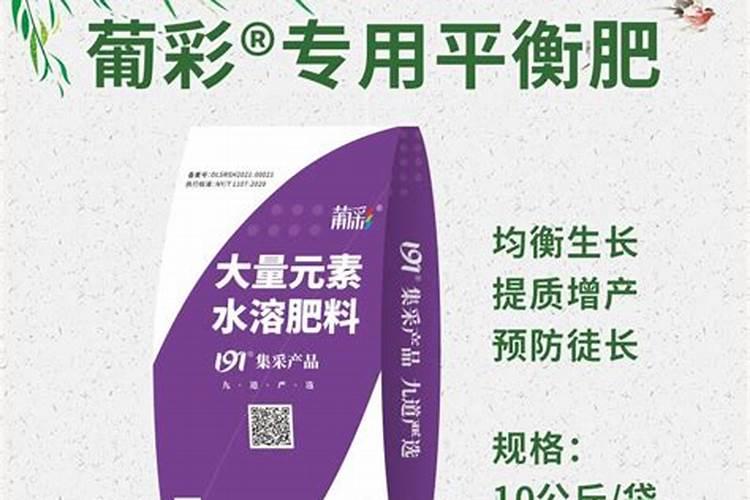 葡萄座果期用什么冲施肥好？葡萄膨大期施什么肥料好？