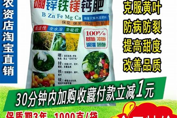 糖醇钙镁朋铁锌在桔柑园什么时候用好