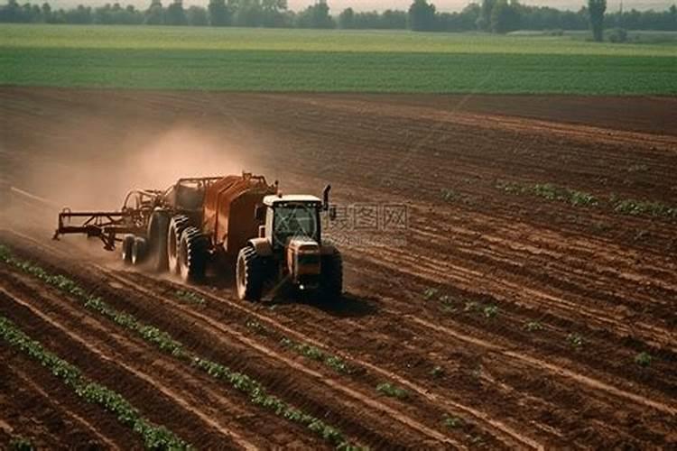 立夏施肥指南:抓住黄金期,让庄稼 “吃饱喝足”