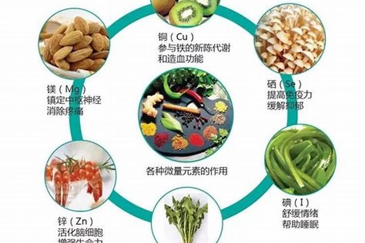 苹果的主要营养成分是什么