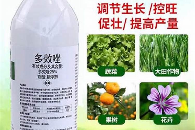 多效唑与哪些不能混用