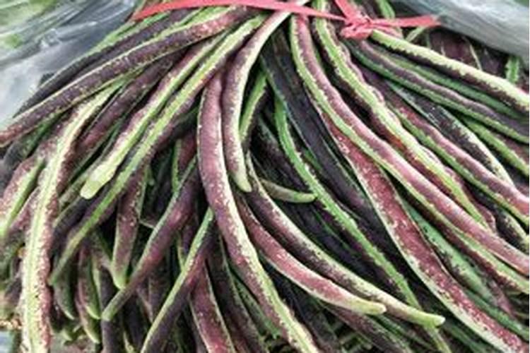 豆角用什么肥料效果好