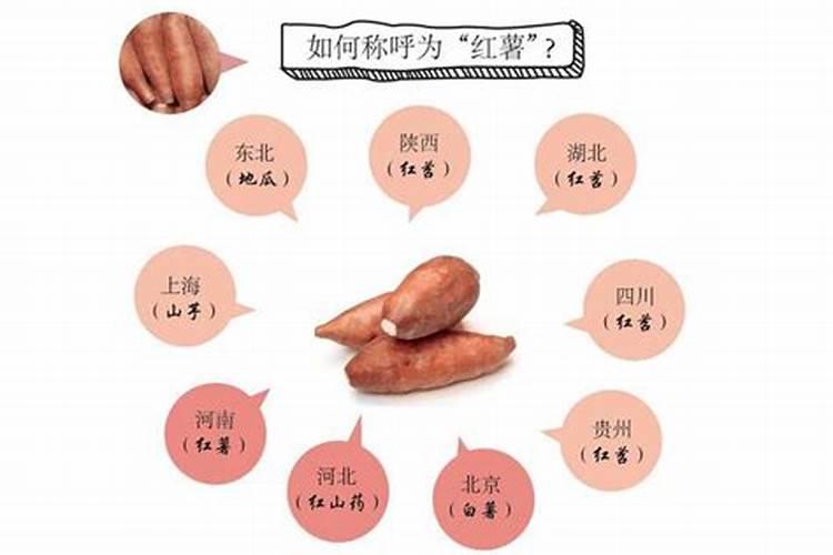 红薯下平行肥和水溶肥那个好