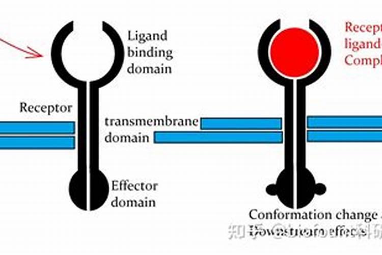 甲基硫菌灵和腐霉利复配科学依据