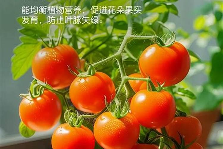 磷酸二氢钾作为花肥该如何使用