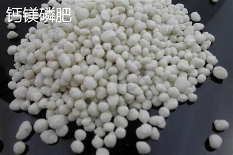 黄瓜开花后如何管理