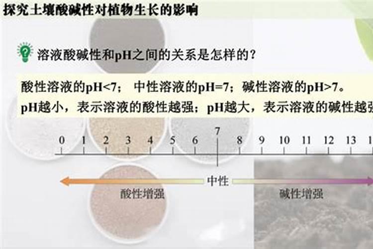 黄瓜刚开花怎么管理