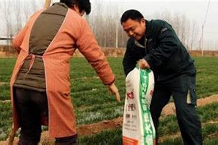 硫酸钾能在烟草叶面喷施吗