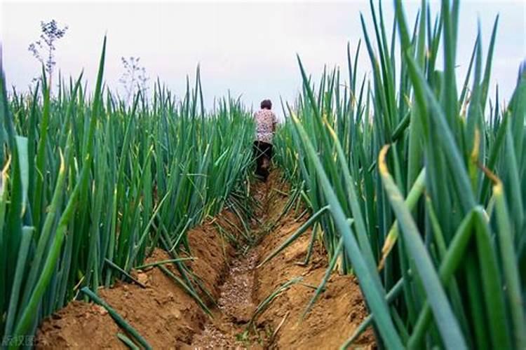 ﻿农药使用有禁忌7种情况