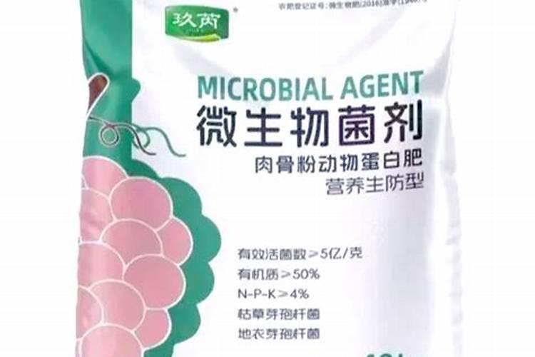 多肉用什么肥料