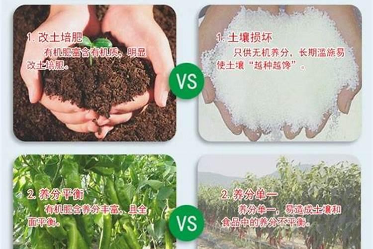 叶面肥多久用一次效果好？使用过多会有哪些危害？