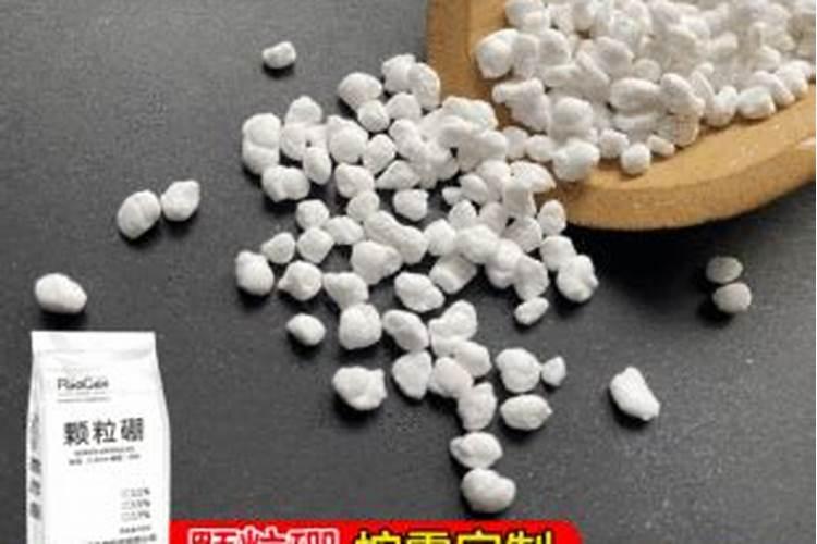 蚜虫、白粉虱、蓟马,三种小虫子一起防治!