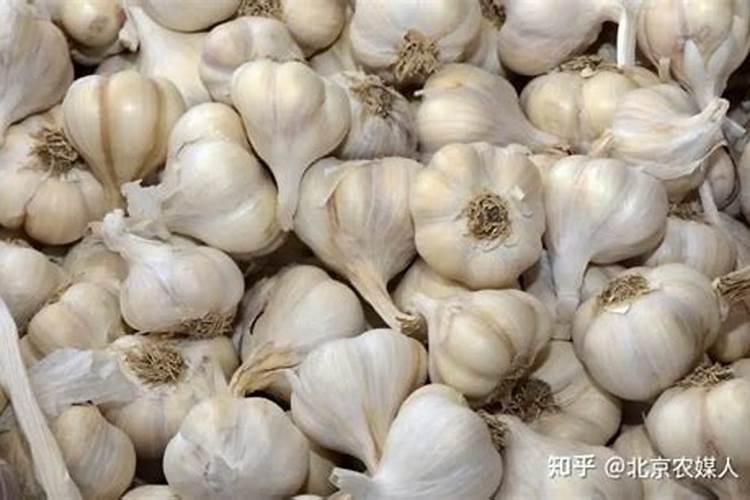 硼肥对改善花椰菜品质的重要作用及施用方法有哪些？