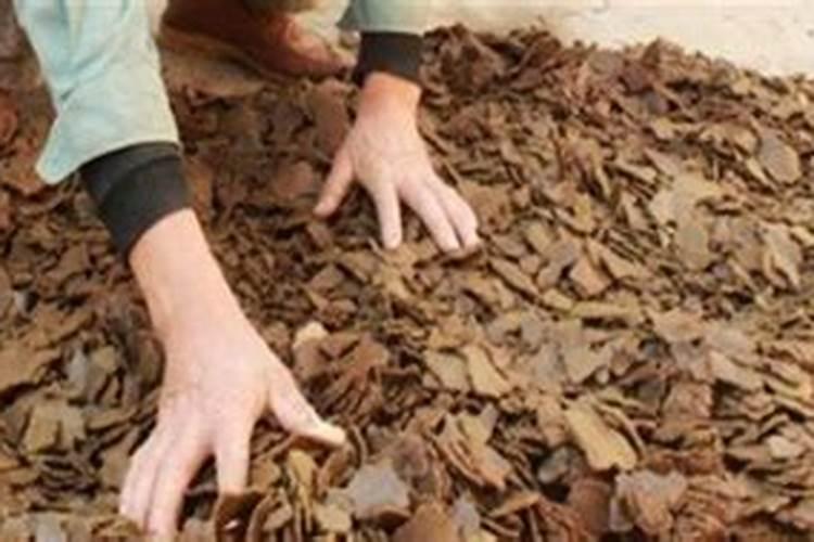 菜籽饼如何发酵成水溶肥料