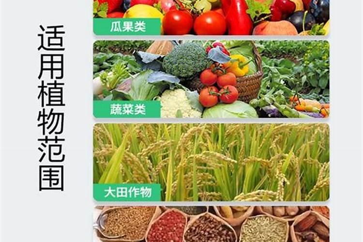 流体硼肥根施的用量