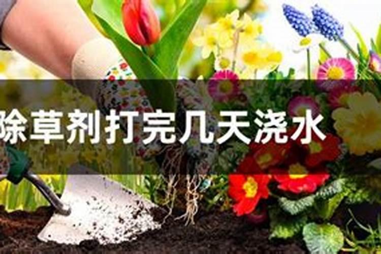 除草剂过后两天可以用叶面肥吗？