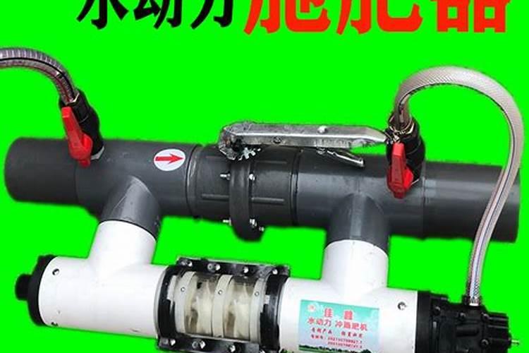 为什么大棚蔬菜不好吃？