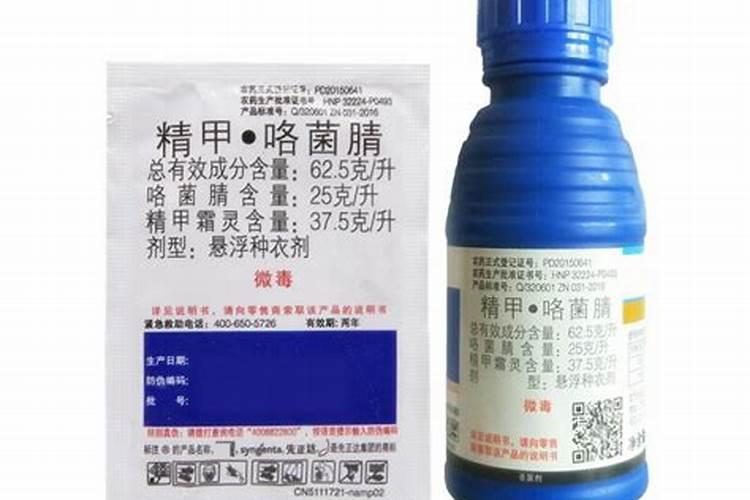 怎样嫁接育苗柑橘？