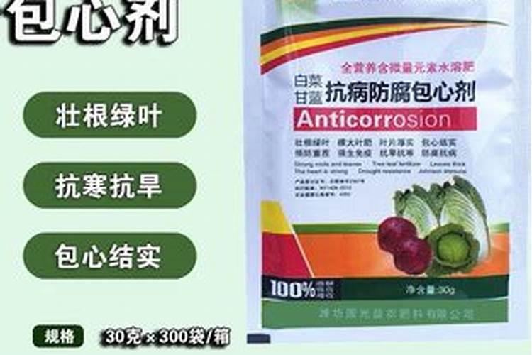 秋冬甘蓝栽培技术