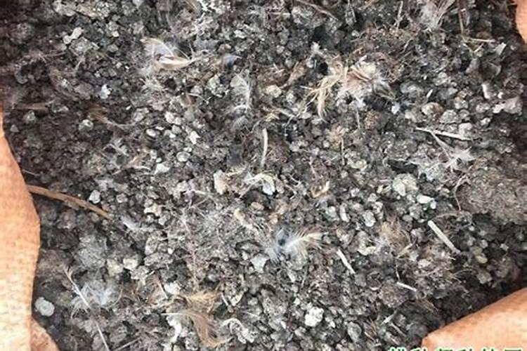 水溶性磷和有效磷的区别