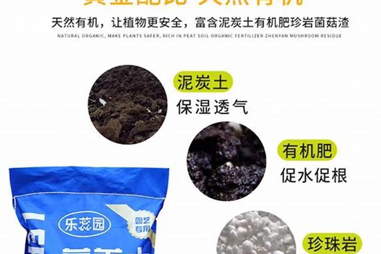 松针怎样发酵做成花肥(弄来松针怎样弄成养花肥营养土)