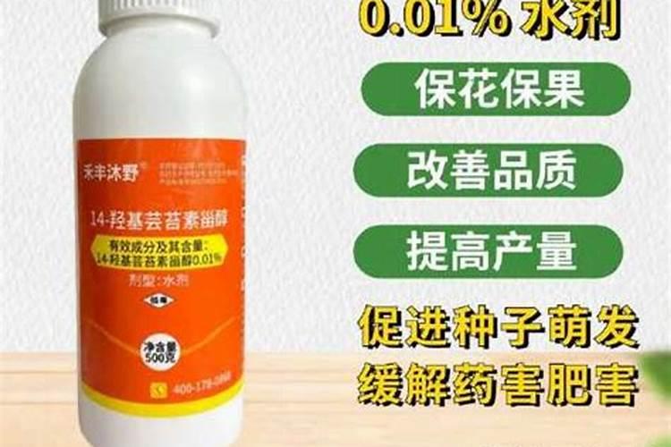 怎样判断辣椒单棵植株,是否旺长徒长？