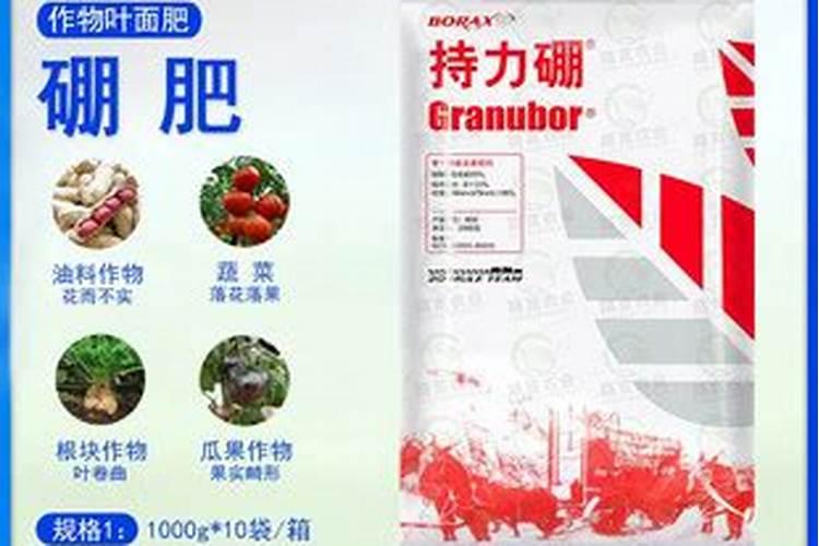 果树怎样施硼肥？