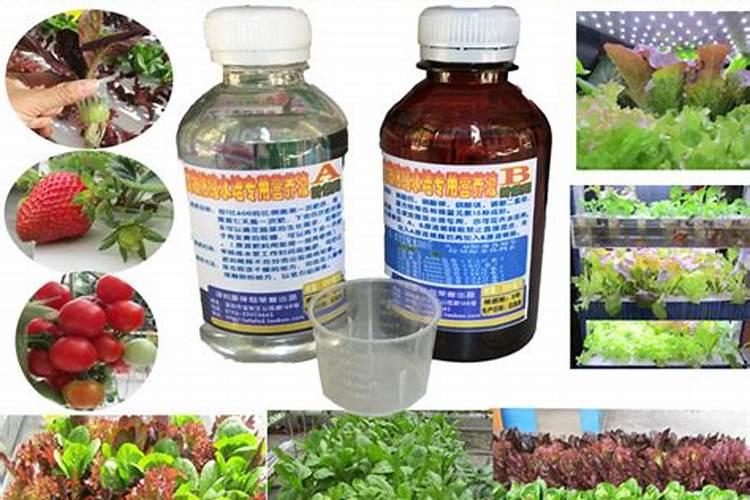 植物营养液怎么用