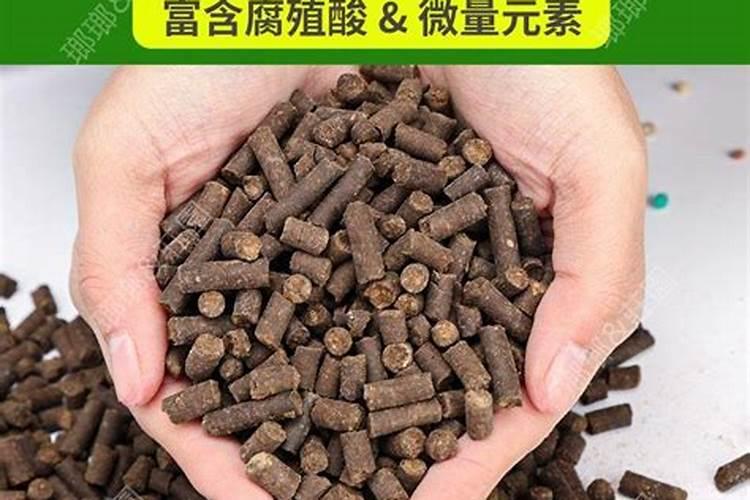 结花期松菜花 能耐低温吗