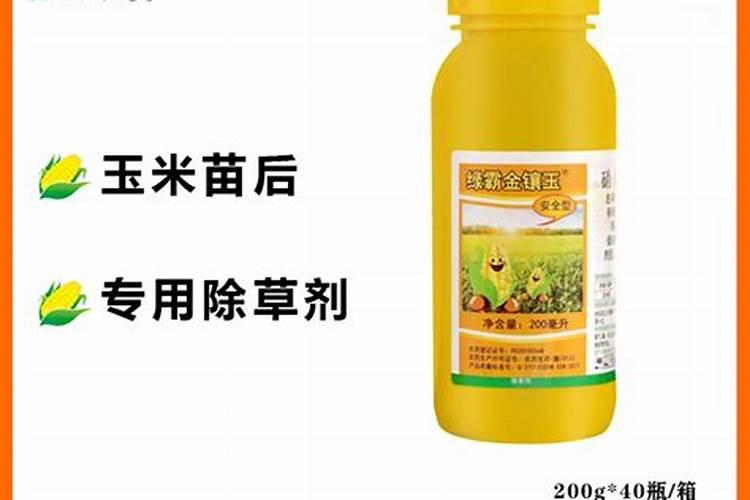 种玉米底肥用什么肥料好