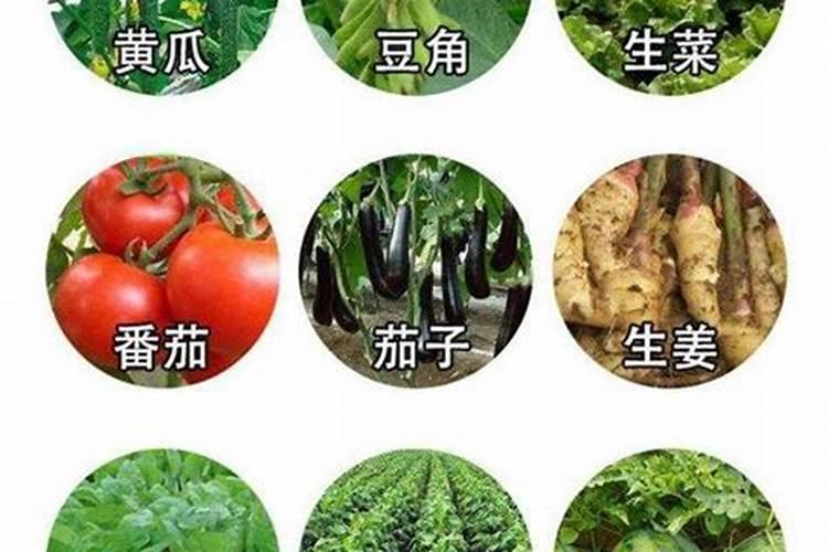 小麦追肥一亩地多少个氮肥就够用
