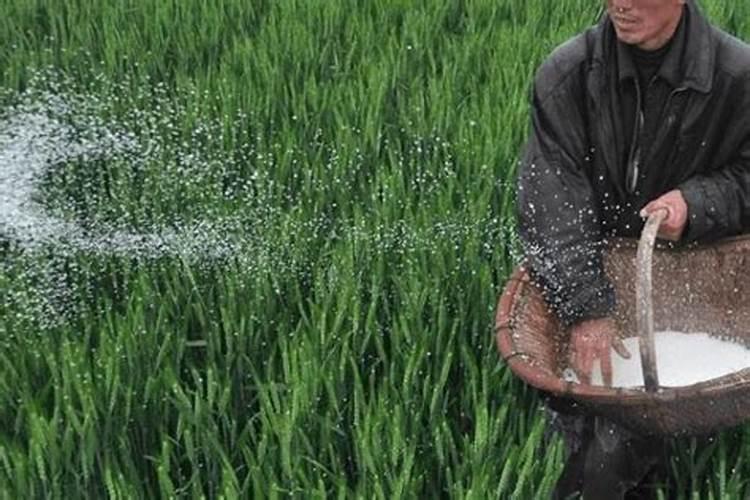 二铵哪个牌子最好用