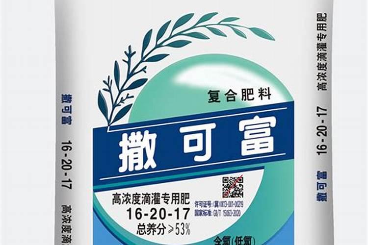 变叶木怎么浇水