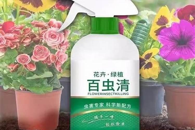 什么药可以养花杀菌 土壤杀菌药一般都用什么药好
